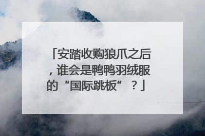 安踏收购狼爪之后，谁会是鸭鸭羽绒服的“国际跳板”？