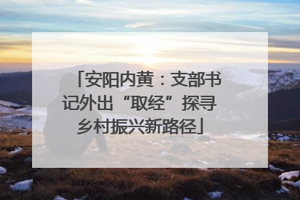 安阳内黄：支部书记外出“取经”探寻乡村振兴新路径