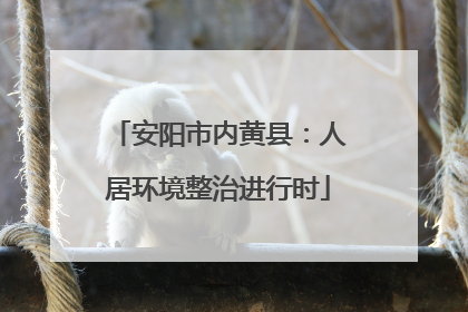 安阳市内黄县：人居环境整治进行时