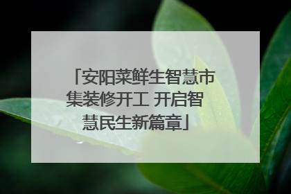 安阳菜鲜生智慧市集装修开工 开启智慧民生新篇章