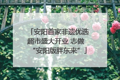 安阳首家非遗优选超市盛大开业 志做“安阳版胖东来”