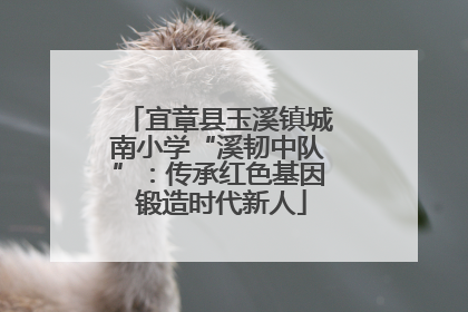 宜章县玉溪镇城南小学“溪韧中队”：传承红色基因 锻造时代新人