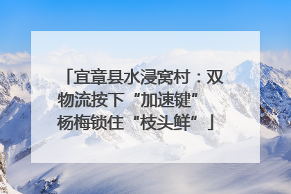 宜章县水浸窝村：双物流按下“加速键” 杨梅锁住“枝头鲜”