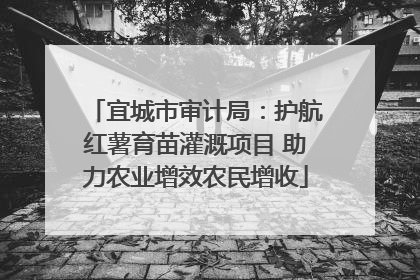 宜城市审计局：护航红薯育苗灌溉项目 助力农业增效农民增收