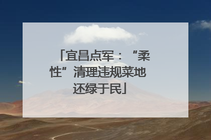 宜昌点军：“柔性”清理违规菜地 还绿于民