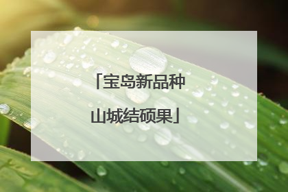 宝岛新品种 山城结硕果