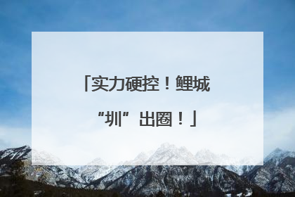 实力硬控！鲤城“圳”出圈！