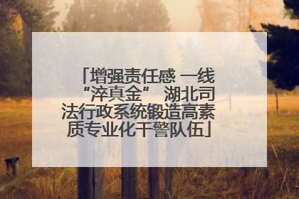 增强责任感 一线“淬真金” 湖北司法行政系统锻造高素质专业化干警队伍