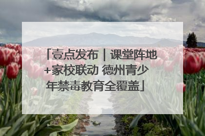 壹点发布｜课堂阵地+家校联动 德州青少年禁毒教育全覆盖