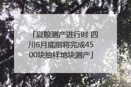夏粮测产进行时 四川6月底前将完成4500块抽样地块测产