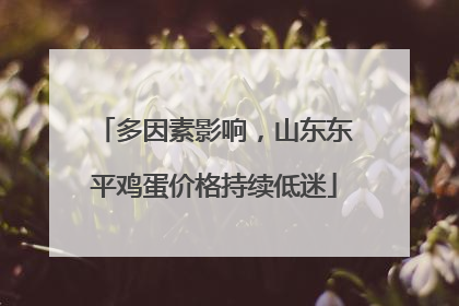 多因素影响，山东东平鸡蛋价格持续低迷