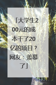 大学生200元的成本干了20亿的项目？网友：羡慕了
