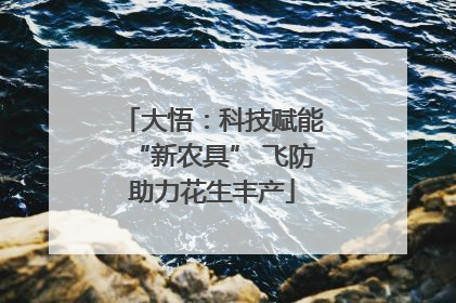 大悟：科技赋能“新农具” 飞防助力花生丰产