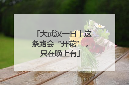 大武汉一日丨这条路会“开花”，只在晚上有