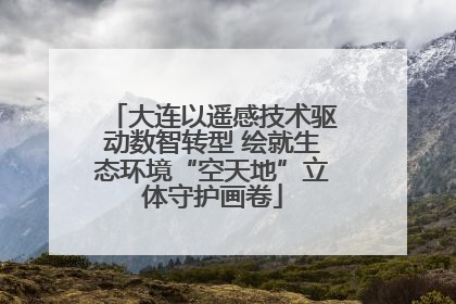 大连以遥感技术驱动数智转型 绘就生态环境“空天地”立体守护画卷