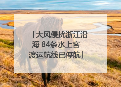 大风侵扰浙江沿海 84条水上客渡运航线已停航