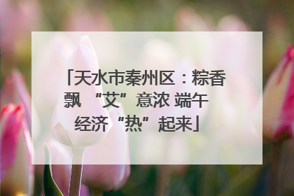 天水市秦州区：粽香飘 “艾”意浓 端午经济“热”起来