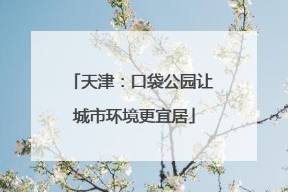 天津：口袋公园让城市环境更宜居