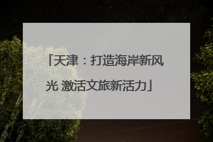 天津：打造海岸新风光 激活文旅新活力