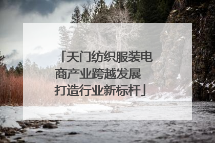 天门纺织服装电商产业跨越发展 打造行业新标杆
