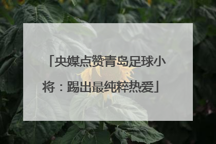 央媒点赞青岛足球小将：踢出最纯粹热爱