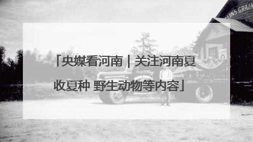 央媒看河南｜关注河南夏收夏种 野生动物等内容
