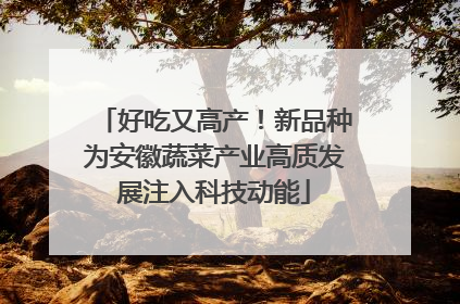 好吃又高产！新品种为安徽蔬菜产业高质发展注入科技动能