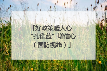 好政策暖人心 “孔雀蓝”增信心（国防视线）