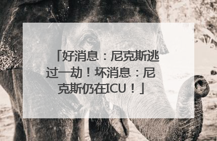 好消息：尼克斯逃过一劫！坏消息：尼克斯仍在ICU！