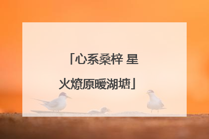 心系桑梓 星火燎原暖湖塘