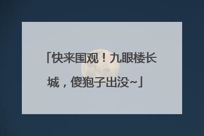 快来围观！九眼楼长城，傻狍子出没~