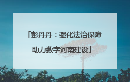 彭丹丹：强化法治保障 助力数字河南建设