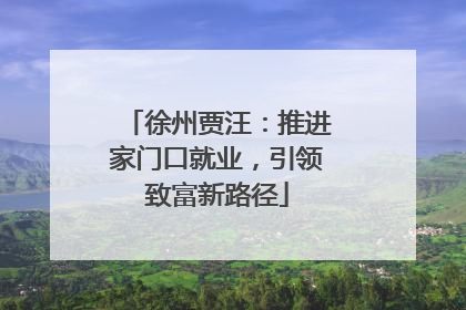 徐州贾汪：推进家门口就业，引领致富新路径