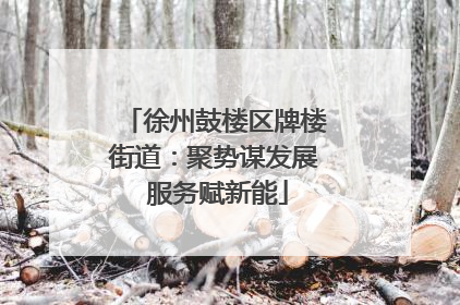 徐州鼓楼区牌楼街道：聚势谋发展 服务赋新能