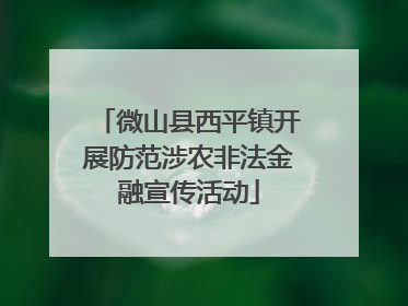 微山县西平镇开展防范涉农非法金融宣传活动