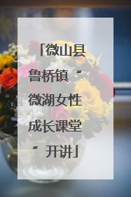 微山县鲁桥镇“微湖女性成长课堂”开讲