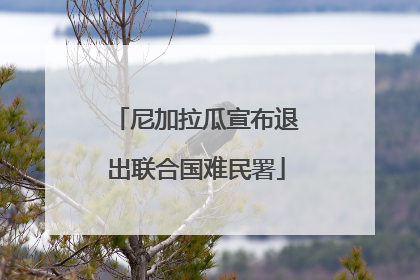 尼加拉瓜宣布退出联合国难民署