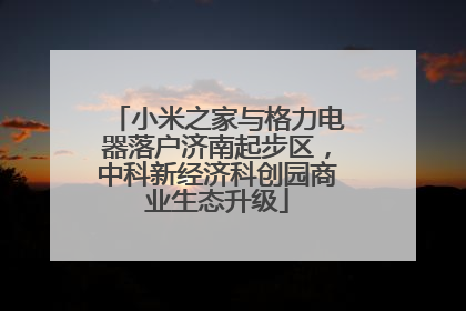 小米之家与格力电器落户济南起步区，中科新经济科创园商业生态升级
