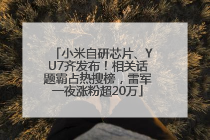 小米自研芯片、YU7齐发布！相关话题霸占热搜榜，雷军一夜涨粉超20万