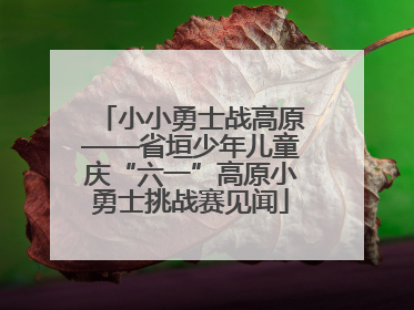 小小勇士战高原——省垣少年儿童庆“六一”高原小勇士挑战赛见闻