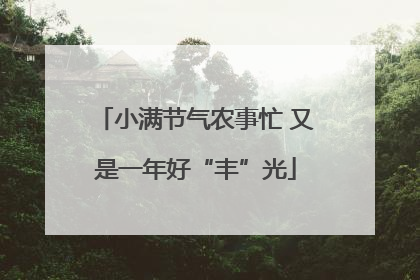 小满节气农事忙 又是一年好“丰”光