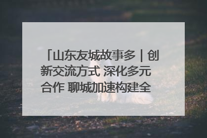 山东友城故事多｜创新交流方式 深化多元合作 聊城加速构建全球友城新格局
