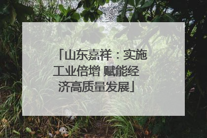山东嘉祥：实施工业倍增 赋能经济高质量发展