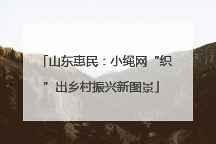 山东惠民：小绳网“织”出乡村振兴新图景