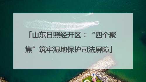 山东日照经开区：“四个聚焦”筑牢湿地保护司法屏障