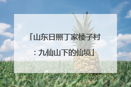 山东日照丁家楼子村：九仙山下的仙境