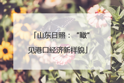 山东日照：“瞰”见港口经济新样貌