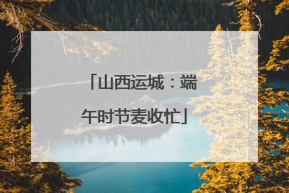 山西运城：端午时节麦收忙