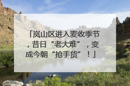 岚山区进入麦收季节，昔日“老大难”，变成今朝“抢手货”！