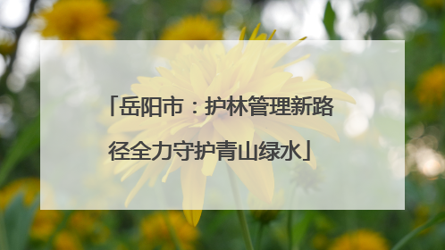 岳阳市：护林管理新路径全力守护青山绿水